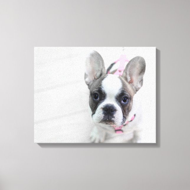 Impressão Em Tela Sassy French Bulldog (Frente)