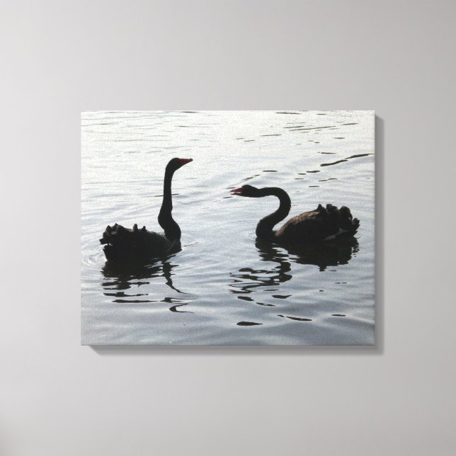 Impressão Em Tela Saudação a Cisnes Negras (Frente)