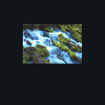 Impressão Em Tela Scenic Forest Waterfall Landscape<br><div class="desc">Accent your living space with this canvas print featuring a scenic forest waterfall photograph featuring green,  mossy covered rocks and fallen logs. Customize your canvas size as desired along with frame options.</div>