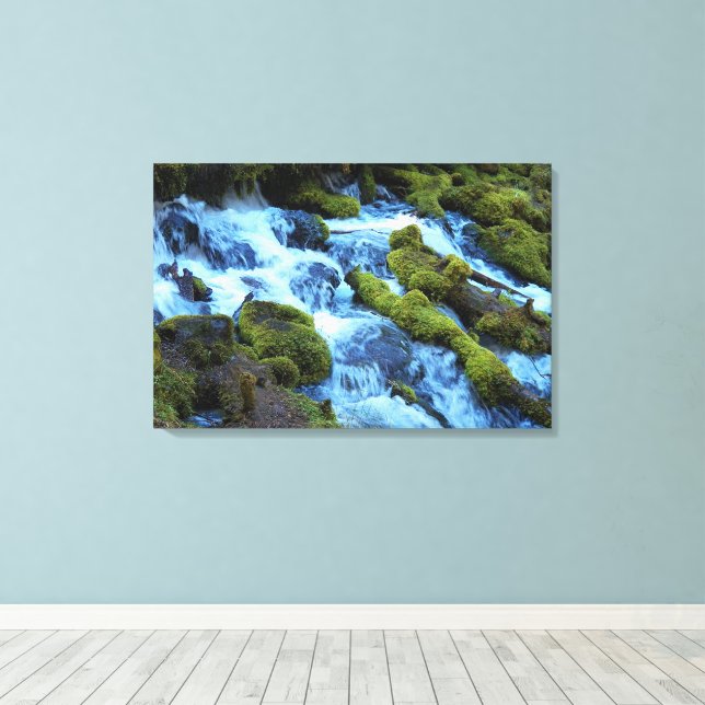 Impressão Em Tela Scenic Forest Waterfall Landscape (Insitu(piso de madeira))