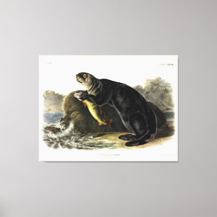 Impressão Em Tela Sea Otter, Enhydra lutris por Audubon