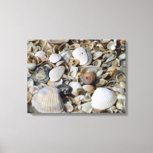 Impressão Em Tela Sea Shells Beach Scene Macro Photo Wall Art