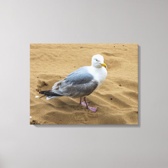 Impressão Em Tela Seagull em uma tela de praia arenosa (Frente)