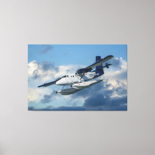 Impressão Em Tela Seaplane no céu