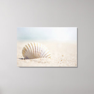 Impressão Em Tela Seashell do molusco