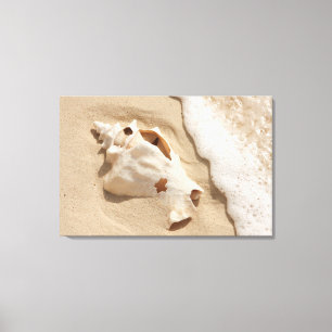 Impressão Em Tela Seashell Na Praia Ilha Caribe Grande Turca