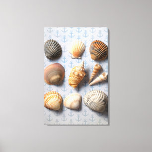 Impressão Em Tela Seashells no contexto da âncora