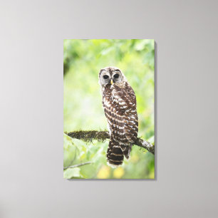 Impressão Em Tela Secundário-adulto recentemente que deixa o ninho