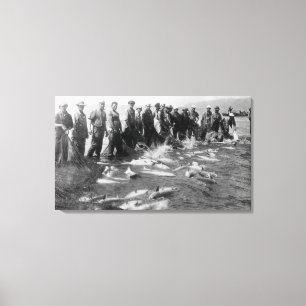 Impressão Em Tela Seining salmões em Astoria, OU fotografia