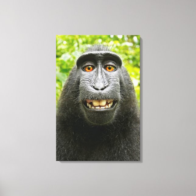 Impressão Em Tela Selfie de Macaco (Frente)