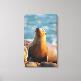 Impressão Em Tela Selo 3 - Não te vejo a olhar!