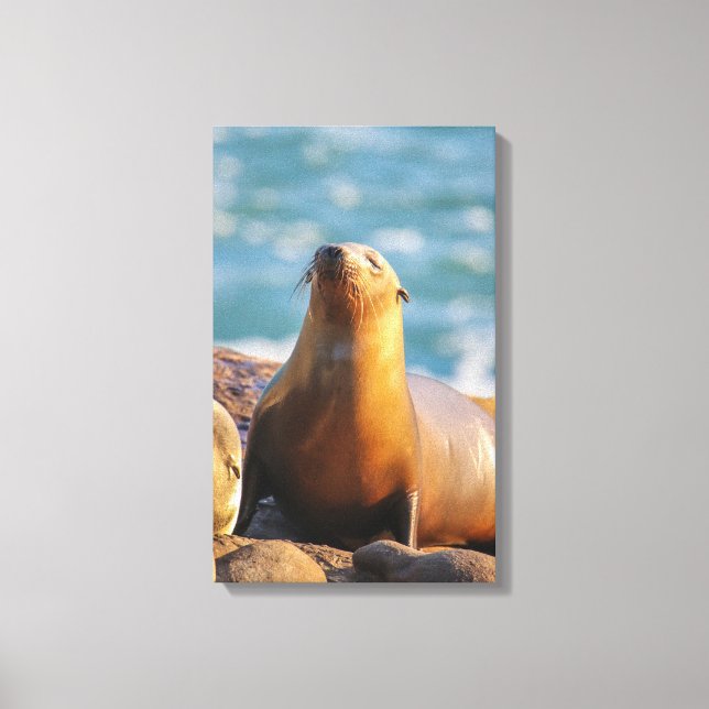 Impressão Em Tela Selo 3 - Não te vejo a olhar! (Frente)