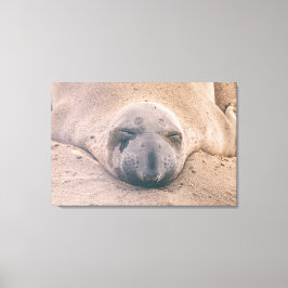 Impressão Em Tela Selo de dormir