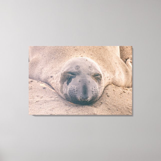 Impressão Em Tela Selo de dormir (Frente)