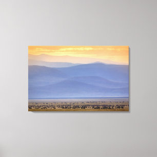 Impressão Em Tela Selvagem durante a migração, Connoquetes