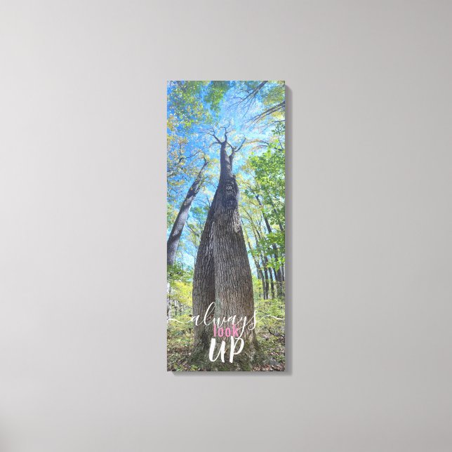 Impressão Em Tela Sempre Olhar para o céu do outono e deixar a tela  (Frente)