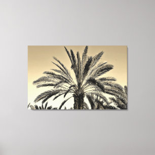 Impressão Em Tela Sépia Date Trees