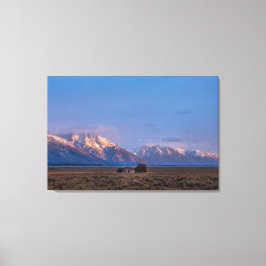 Impressão Em Tela Serena Grande Planície Aberta de Teton