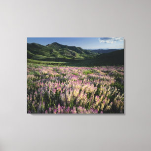 Impressão Em Tela Serra e região selvagem de Jarbridge, Nevada, Espo