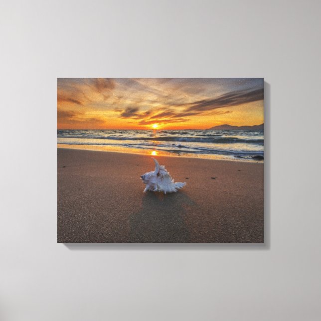 Impressão Em Tela Shell Na Praia Ao Sunset | Ilha Kos (Frente)