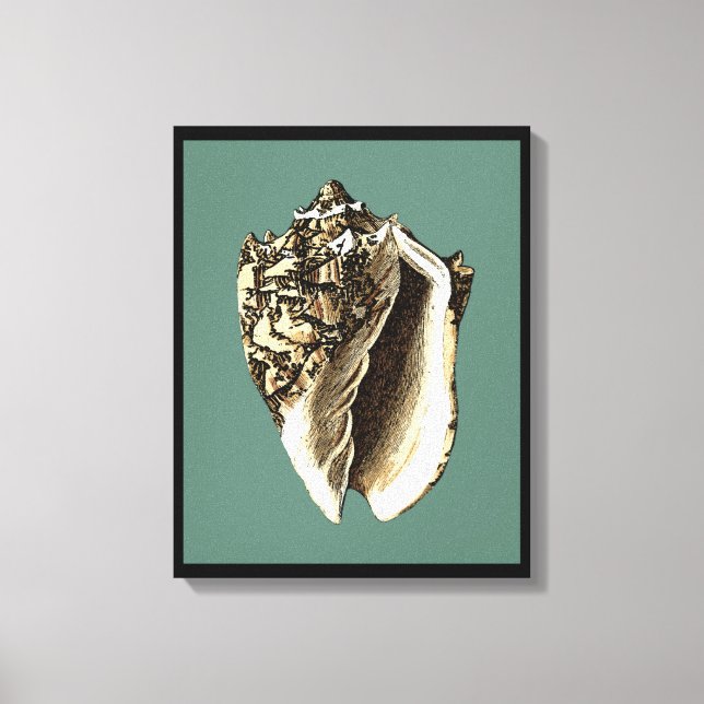 Impressão Em Tela Shell Teal Conch (Frente)