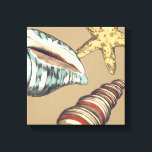 Impressão Em Tela Shell Trio em Khaki<br><div class="desc">Megan Meagher é conhecida por suas simples peças de arte. Esta é uma imagem excelente da arte decorativa capturando a vida marinha com uma estrela amarela e uma concha azul e vermelha. Consiga este impressão de arte hoje na cor Khaki no seu produto Zazzle.</div>
