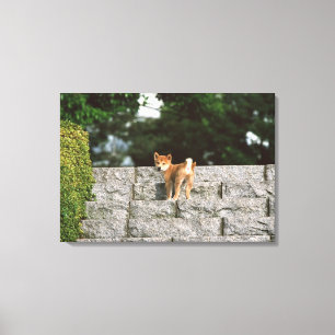 Impressão Em Tela Shiba minúsculo japonês 4