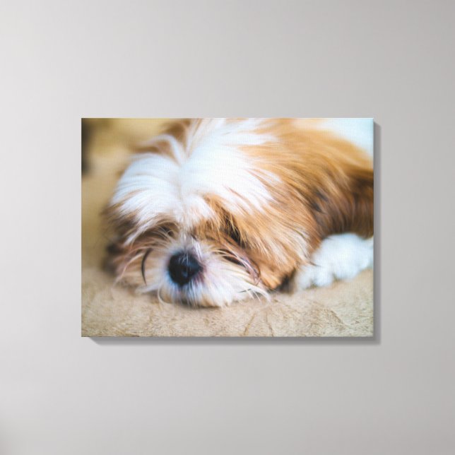 Impressão Em Tela Shih Tzu (Frente)
