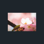 Impressão Em Tela Shy Sakura Flor Abriga-Se Por Trás De Blossomas<br><div class="desc">Abrigos de flores de sakura ensolarada, mas tímida, atrás de outras flores de cereja. A bela cena do jardim de primavera em cor rosa. Uma pintura digital muito grande a partir de uma fotografia. Impressão floral esticada de tela para decorar seu lugar ou para ser usada como presente em casamentos,...</div>