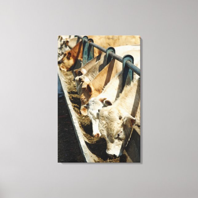 Impressão Em Tela Sicília, Itália (Frente)