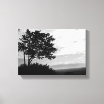 Silhueta de árvore em preto e branco