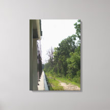 Simetria Industrial e Natural Perfeita