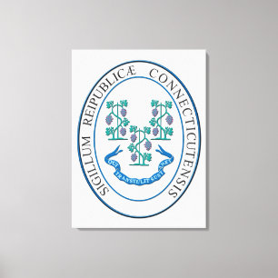 Impressão Em Tela Sinal de conexão