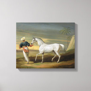 Impressão Em Tela Sinalize, um árabe cinzento, com um noivo no