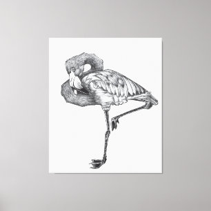Impressão Em Tela Sketch American BW Flamingo Funny Flamingo