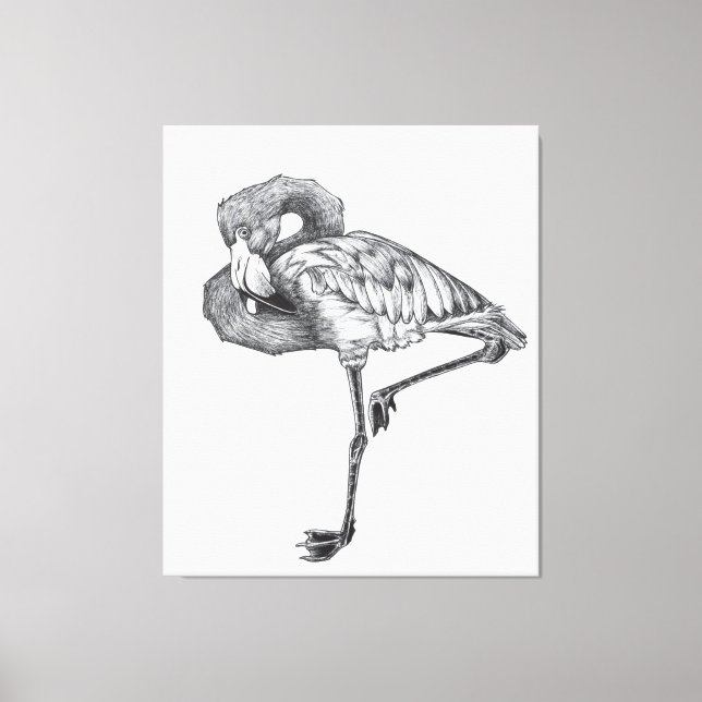 Impressão Em Tela Sketch American BW Flamingo | Funny Flamingo (Frente)
