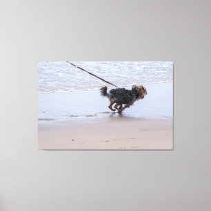 Impressão Em Tela Small Dog Running on Sandy Beach Shoreline