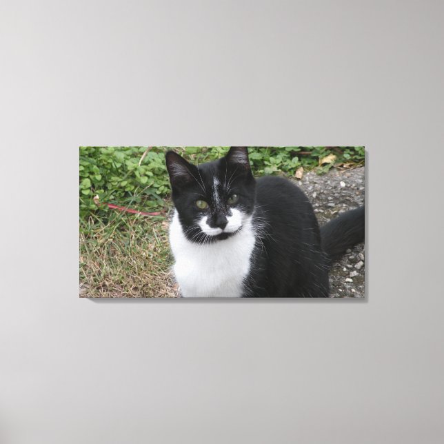 Impressão Em Tela Smiler Charity (Frente)