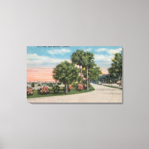 Impressão Em Tela Smyrna novo, Florida - opinião da rua do parque d