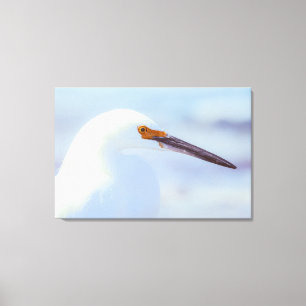 Impressão Em Tela Snowy Egret