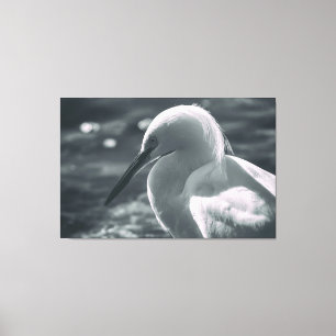 Impressão Em Tela Snowy Egret a preto e branco