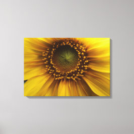 Impressão Em Tela Sol brilhante