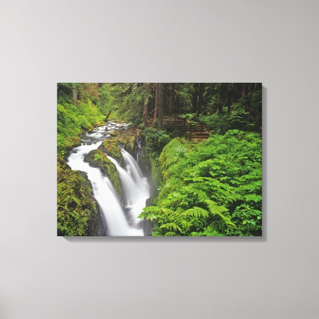 Impressão Em Tela Sol Duc Falls no Parque Nacional Olímpico em (Frente)