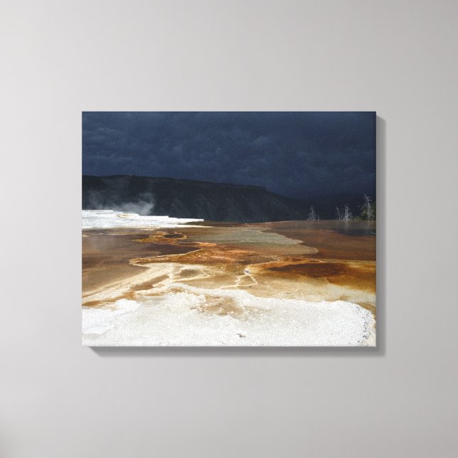 Impressão Em Tela Sol e Sombra (Frente)