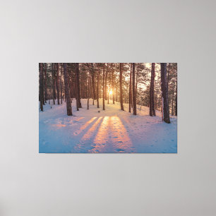 Impressão Em Tela Sol em neve, pinheiros de inverno