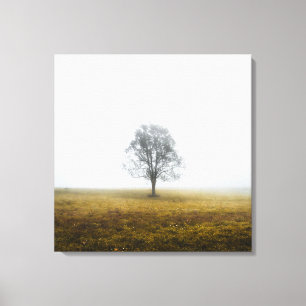 Impressão Em Tela Solitário numa manhã de outono nebulosa