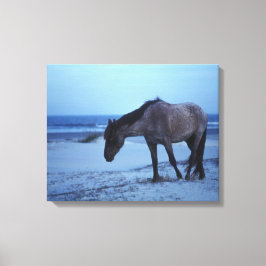 Impressão Em Tela Solitude dos equídeos de inverno