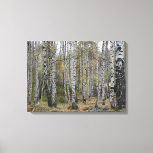 Impressão Em Tela Solteiro da foto do outono de Forrest do vidoeiro