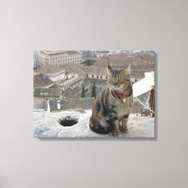 Impressão Em Tela Solteiro de fotografia de gato (Frente)