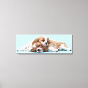 Impressão Em Tela Sono descuidado dos Spaniels de rei Charles